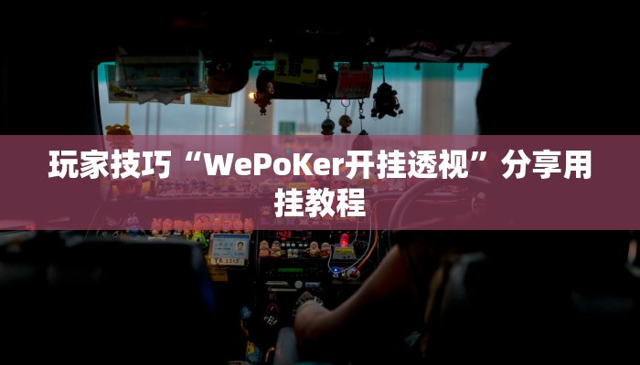 玩家技巧“WePoKer开挂透视”分享用挂教程 玩家技巧“WePoKer开挂透视”分享用挂教程