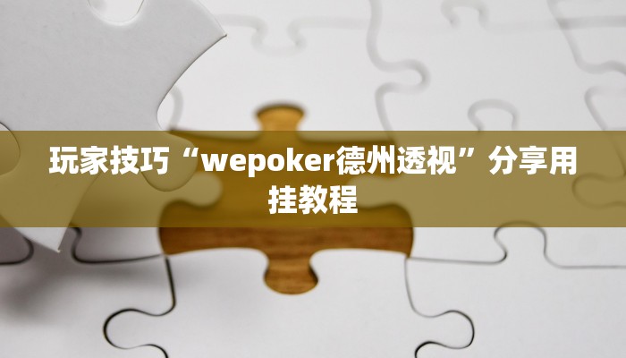 玩家技巧“wepoker德州透视”分享用挂教程 玩家技巧“wepoker德州透视”分享用挂教程