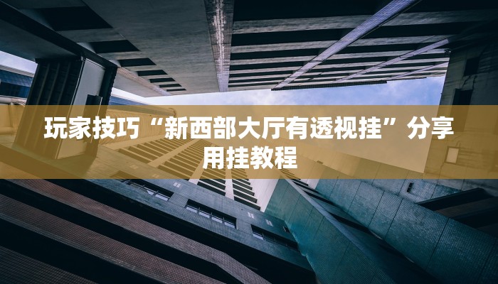 玩家技巧“新西部大厅有透视挂”分享用挂教程 玩家技巧“新西部大厅有透视挂”分享用挂教程