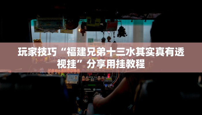 玩家技巧“福建兄弟十三水其实真有透视挂”分享用挂教程