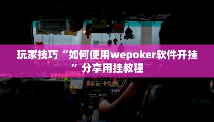 玩家技巧“如何使用wepoker软件开挂”分享用挂教程