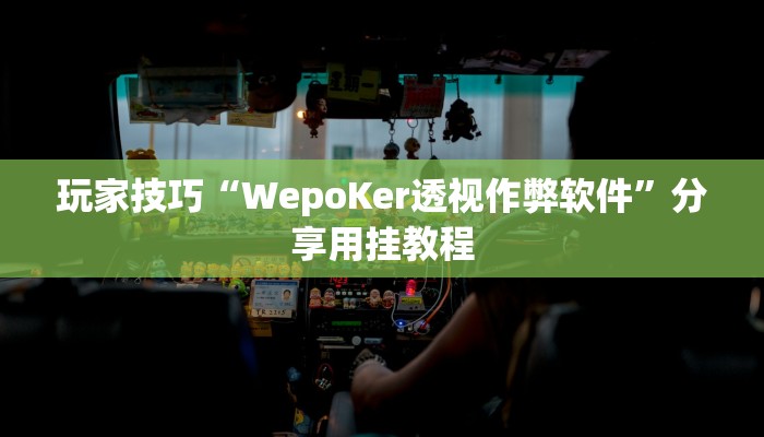 玩家技巧“WepoKer透视作弊软件”分享用挂教程