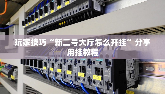 玩家技巧“新二号大厅怎么开挂”分享用挂教程