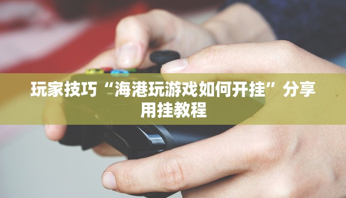 玩家技巧“海港玩游戏如何开挂”分享用挂教程