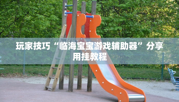 玩家技巧“临海宝宝游戏辅助器”分享用挂教程 玩家技巧“临海宝宝游戏辅助器”分享用挂教程