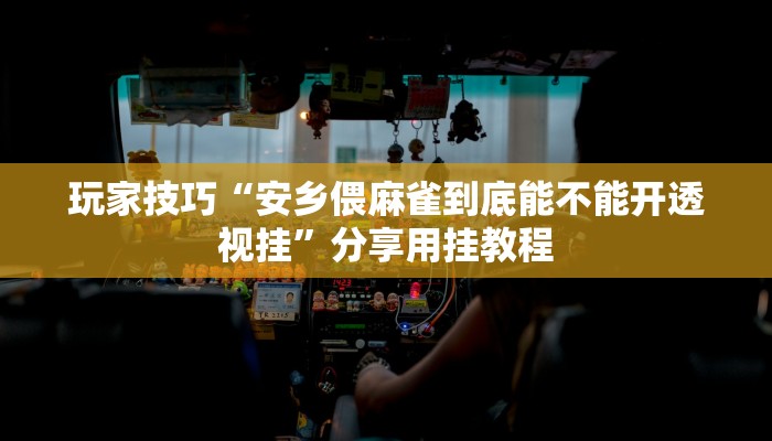 玩家技巧“安乡偎麻雀到底能不能开透视挂”分享用挂教程 玩家技巧“安乡偎麻雀到底能不能开透视挂”分享用挂教程