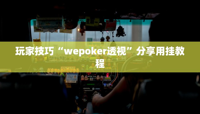玩家技巧“wepoker透视”分享用挂教程