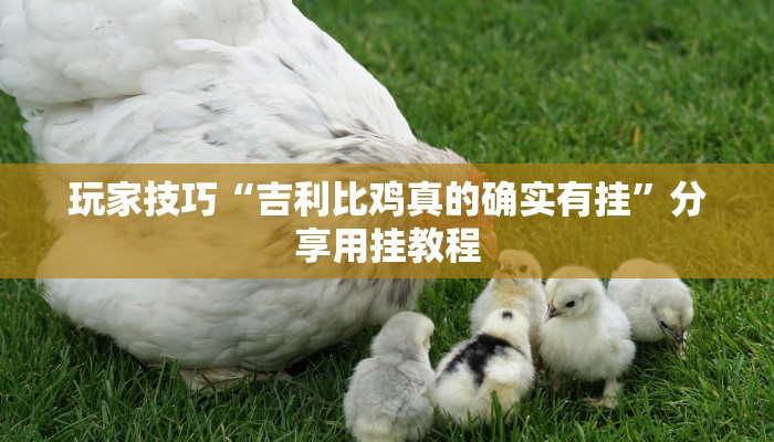 玩家技巧“吉利比鸡真的确实有挂”分享用挂教程 玩家技巧“吉利比鸡真的确实有挂”分享用挂教程