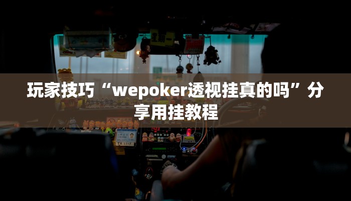 玩家技巧“wepoker透视挂真的吗”分享用挂教程