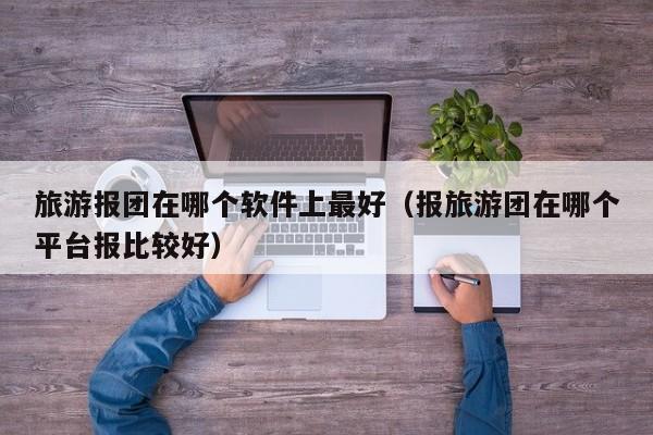 旅游报团在哪个软件上最好(报旅游团在哪个平台报比较好)