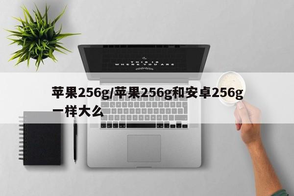 苹果256g/苹果256g和安卓256g一样大么