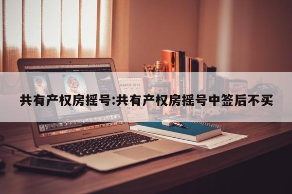 共有产权房摇号:共有产权房摇号中签后不买
