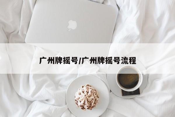 广州牌摇号/广州牌摇号流程