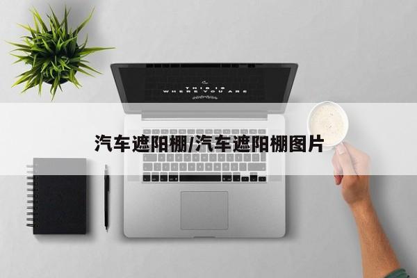 汽车遮阳棚/汽车遮阳棚图片