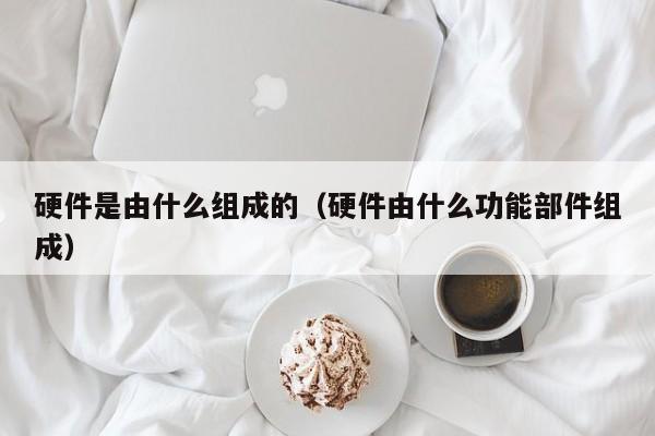 硬件是由什么组成的(硬件由什么功能部件组成)