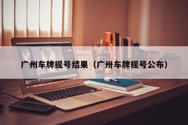 广州车牌摇号结果(广卅车牌摇号公布)