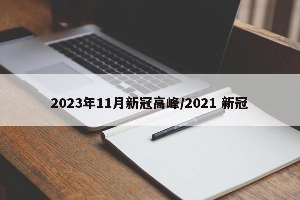 2023年11月新冠高峰/2021 新冠